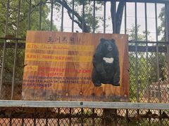 -昆明动物园
