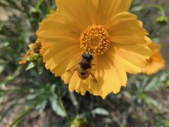 -白鹭湾湿地公园