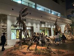 -自贡恐龙博物馆