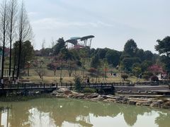 -铁山坪森林公园