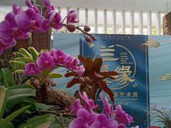 -广州兰圃