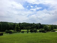 -宜兴龙背山森林公园
