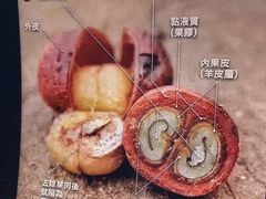 -悟白咖啡WoobyCafe