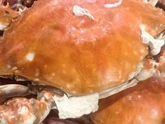 -北塘海鲜·天津菜(大光明桥旗舰店)