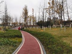 -府河摄影公园