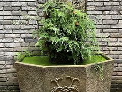 -鱼桥巷·美学川菜