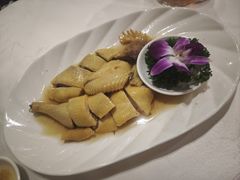 -广州建国酒店-盈丰阁粤菜-粤式茶点