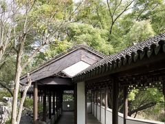 -九龙寨城公园