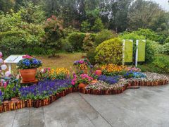-云溪植物园