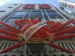 -蟹道乐(道顿堀本店)