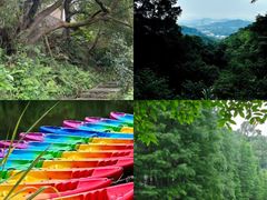 -广州市帽峰山景区