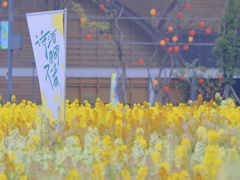 -中国天府农业博览园