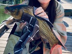 -酷鱼垂钓CLUB(朝阳区博大路店 )