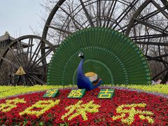 -呀路古热带植物园