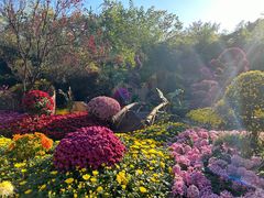 -杭州植物园