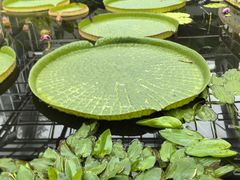 -国家植物园南园