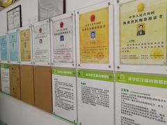 -汪喵宠物医院·骨科心脏影像·犬猫急重症ICU诊疗中心(成华分院)