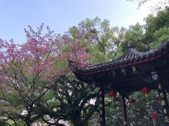 -乌山风景区