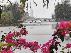 -星湖旅游景区七星岩