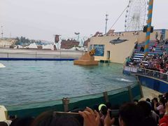 -秦皇岛乐岛海洋王国