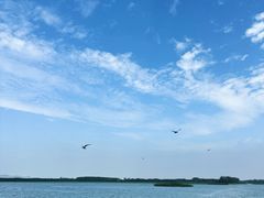 -滕州微山湖红荷湿地景区