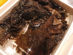 捞派毛肚-海底捞火锅(高科广场店)