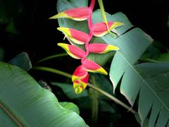 -北京植物园-展览温室