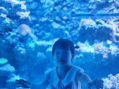 -重庆欢乐海底世界
