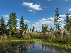 -白鹭湾湿地公园