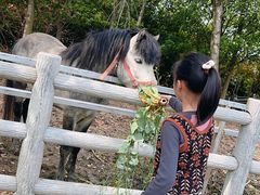 -嬉乐湾休闲旅游区