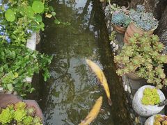 -炊烟餐厅