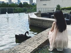 -行者书屋大堂吧 ·下午茶(南京圣和府邸酒店)