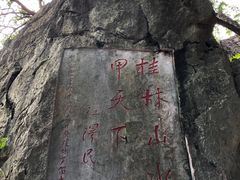 -王城醋血鸭老店