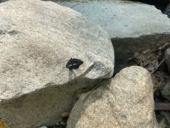 -秦岭终南山世界地质公园翠华山景区