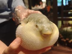 -肆月河豚·淮扬菜·湘菜(华天店)