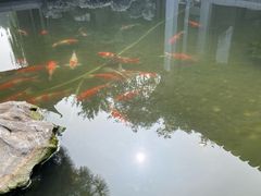 -水绘园