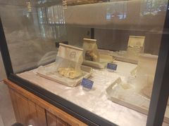 -西安西藏大厦开元名都大酒店·自助餐厅