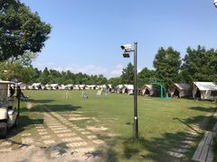 -上海海湾国家森林公园