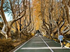 -南京市无想山景区