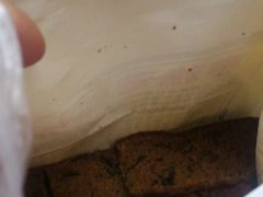 -五道口枣糕王(成府路店)