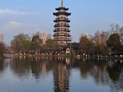 -洋湖国家湿地公园