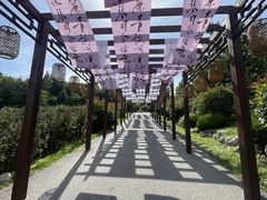 -威海华夏城景区