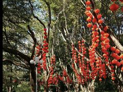 -人民公园(罗湖区)