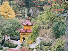 -黄山温泉国际旅游度假区