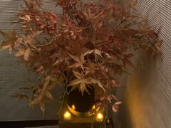 -Dragonfly悠庭·按摩Spa(静安嘉里中心店)