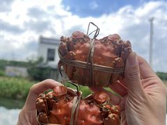 -徐岛主·特色农家乐(阳澄湖莲花岛店)