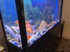 -宜昌富力皇冠假日酒店·咖啡1号西餐厅