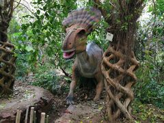-呀路古热带植物园