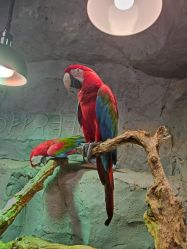 -Zoolung Zoolung动物主题公园(海信广场店)