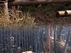 -红山森林动物园